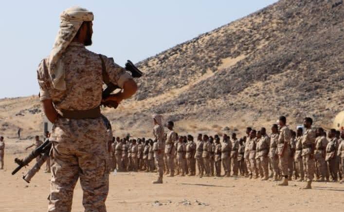 درع الوطن.. التأسيس والمرجعية والالتزام