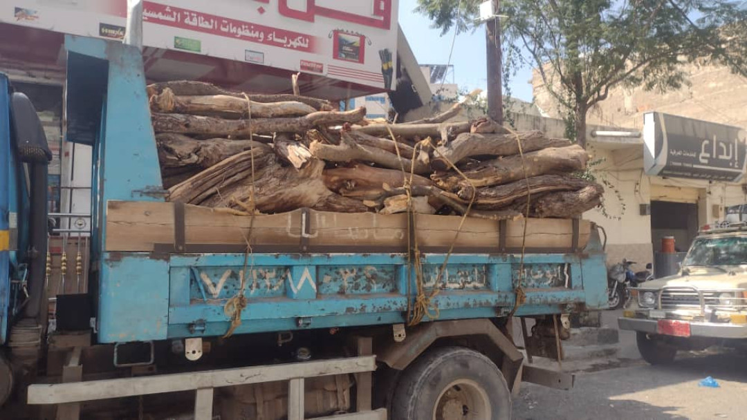 Img 20241130 Wa0036 عشرات المخابز في المدينة تلجأ الى الحطب بسبب ارتفاع وقود الديزل ( النداء )
